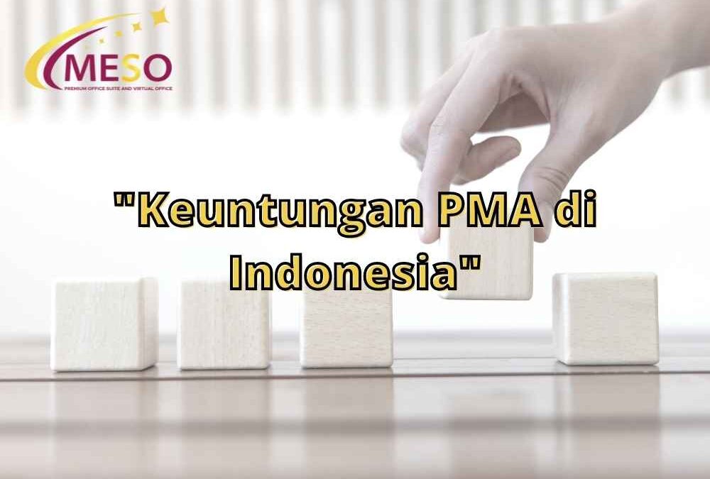 Keuntungan PMA di Indonesia