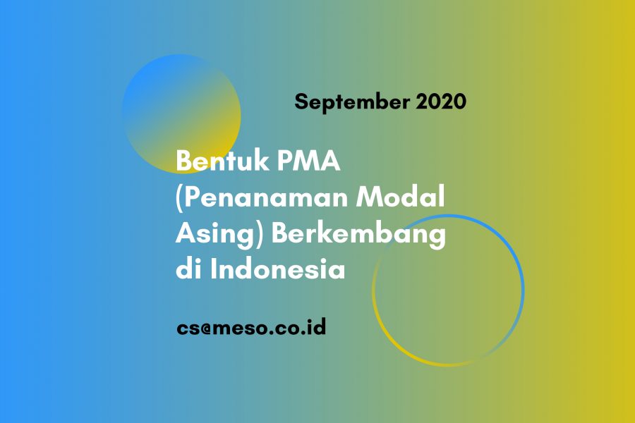 Bentuk PMA (Penanaman Modal Asing) Berkembang di Indonesia